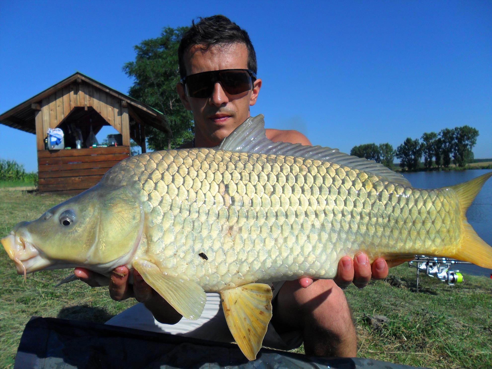 Teiu,23 iulie 2013 - sam0276.JPG